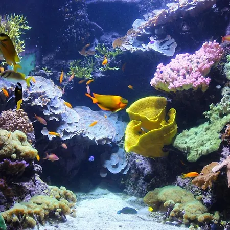 Havre De Paix Lumineux Et Cosy Au Calme Proche Du Centre Avec Tv Et Wifi דירה לה רושל